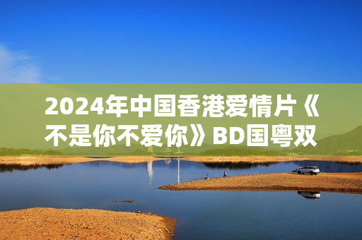 2024年中国香港爱情片《不是你不爱你》BD国粤双语中字