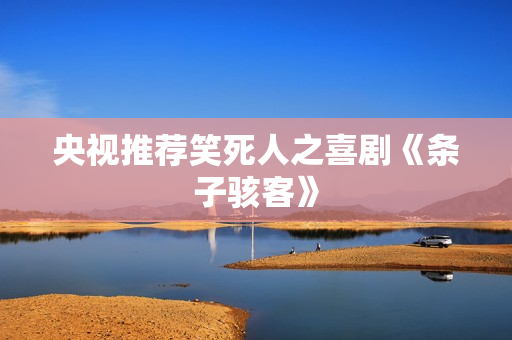 央视推荐笑死人之喜剧《条子骇客》