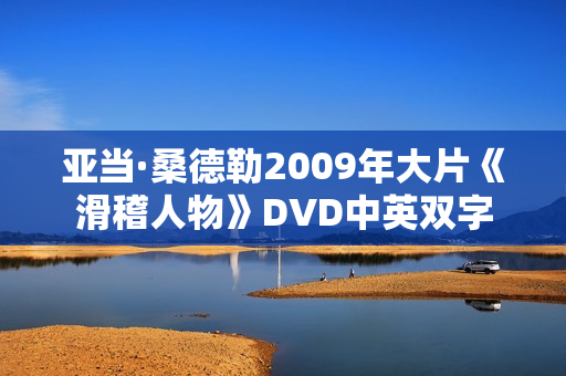 亚当·桑德勒2009年大片《滑稽人物》DVD中英双字