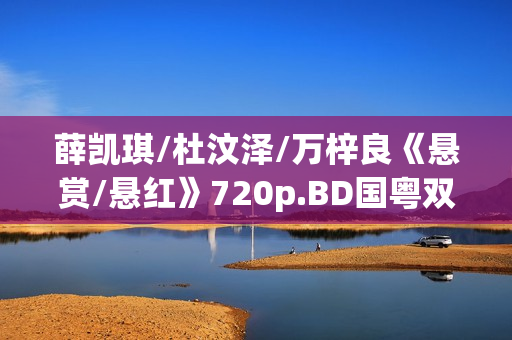 薛凯琪/杜汶泽/万梓良《悬赏/悬红》720p.BD国粤双语中字