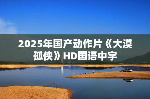2025年国产动作片《大漠孤侠》HD国语中字