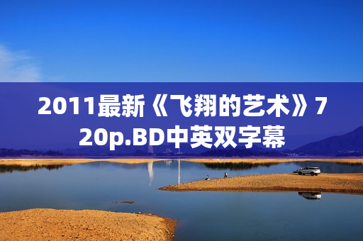 2011最新《飞翔的艺术》720p.BD中英双字幕