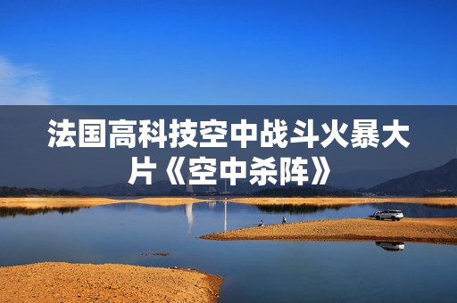 法国高科技空中战斗火暴大片《空中杀阵》