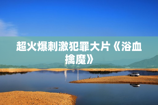 超火爆刺激犯罪大片《浴血擒魔》