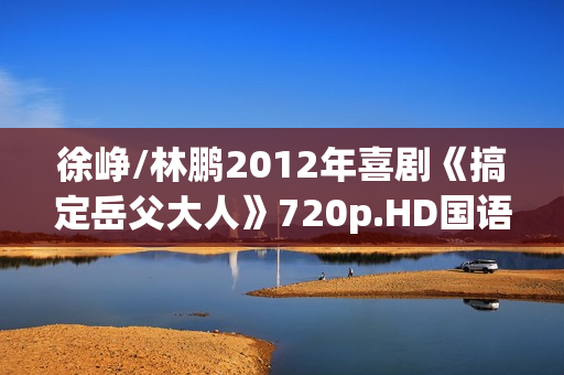 徐峥/林鹏2012年喜剧《搞定岳父大人》720p.HD国语中字