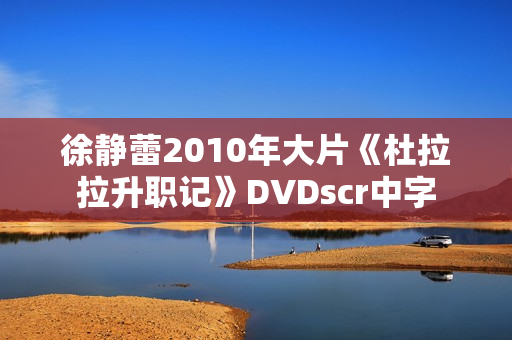 徐静蕾2010年大片《杜拉拉升职记》DVDscr中字