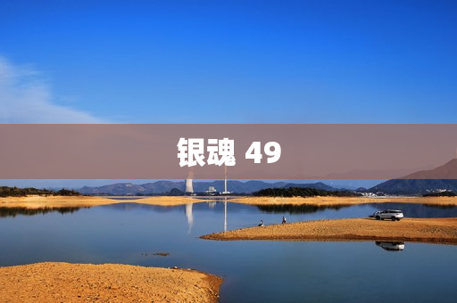 银魂 49