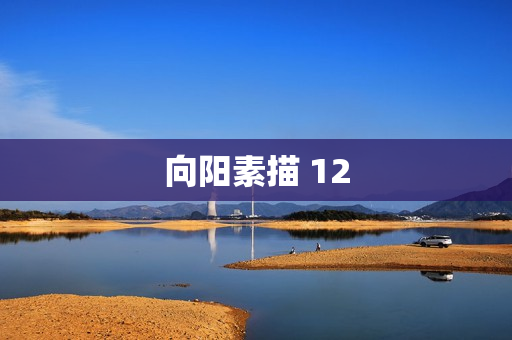 向阳素描 12