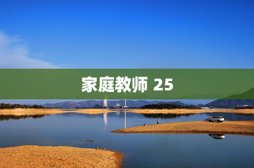 家庭教师 25