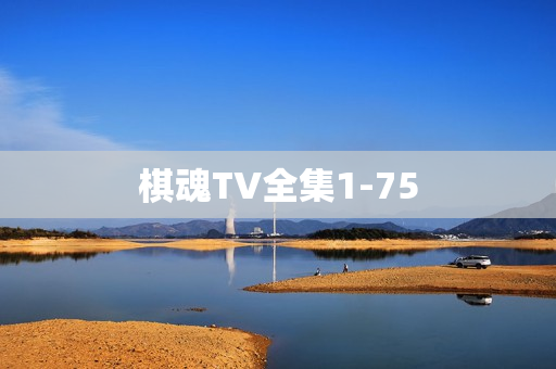 棋魂TV全集1-75