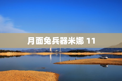 月面兔兵器米娜 11