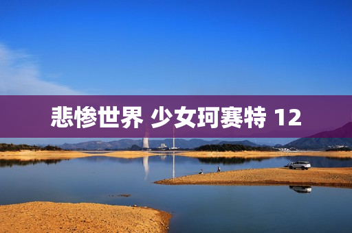 悲惨世界 少女珂赛特 12