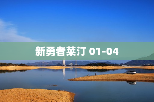 新勇者莱汀 01-04