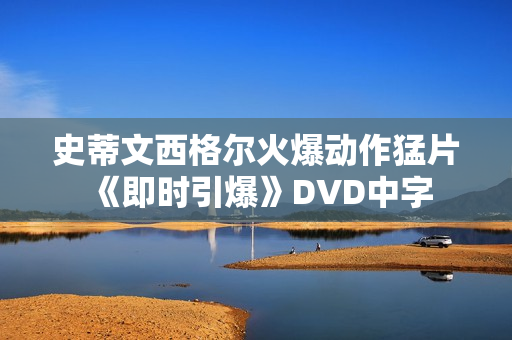 史蒂文西格尔火爆动作猛片《即时引爆》DVD中字