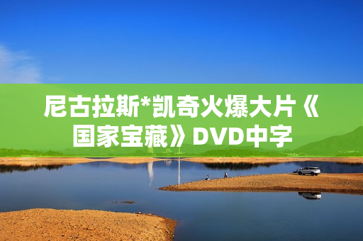 尼古拉斯*凯奇火爆大片《国家宝藏》DVD中字