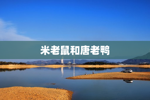 米老鼠和唐老鸭