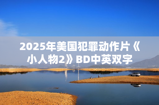 2025年美国犯罪动作片《小人物2》BD中英双字
