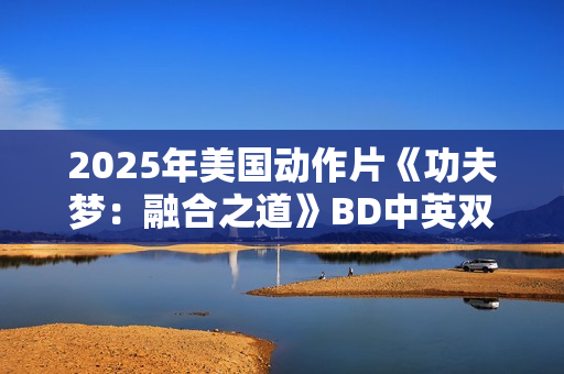 2025年美国动作片《功夫梦：融合之道》BD中英双字