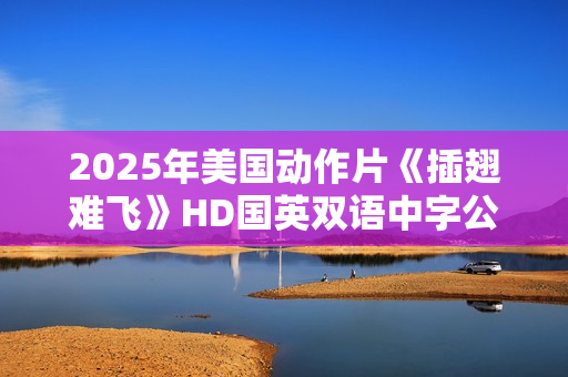 2025年美国动作片《插翅难飞》HD国英双语中字公映版