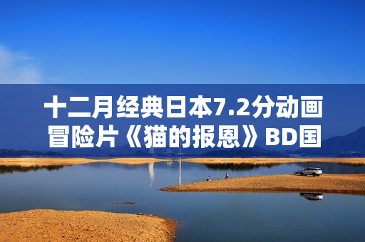 十二月经典日本7.2分动画冒险片《猫的报恩》BD国粤日3语中字