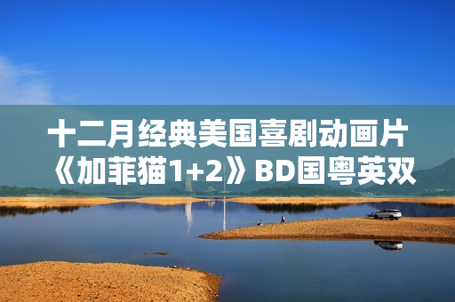 十二月经典美国喜剧动画片《加菲猫1+2》BD国粤英双字