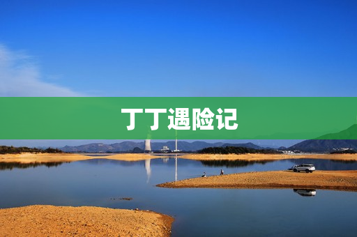 丁丁遇险记