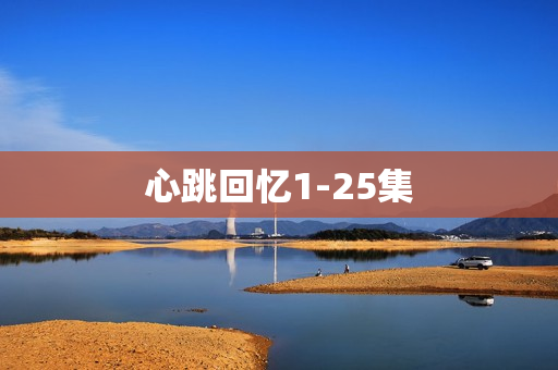 心跳回忆1-25集