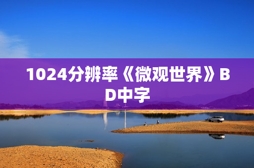 1024分辨率《微观世界》BD中字