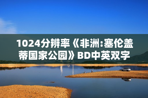 1024分辨率《非洲:塞伦盖蒂国家公园》BD中英双字