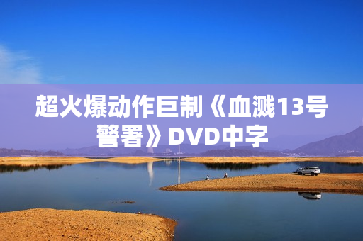 超火爆动作巨制《血溅13号警署》DVD中字