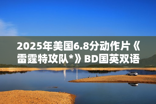 2025年美国6.8分动作片《雷霆特攻队*》BD国英双语中英双字