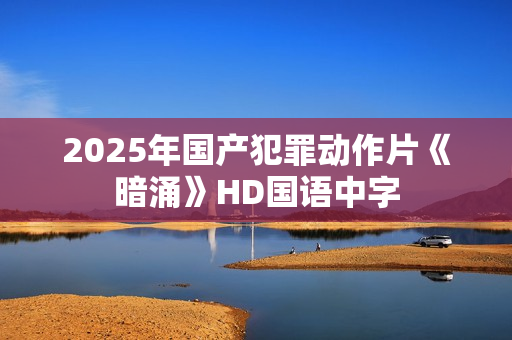 2025年国产犯罪动作片《暗涌》HD国语中字