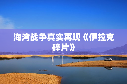 海湾战争真实再现《伊拉克碎片》