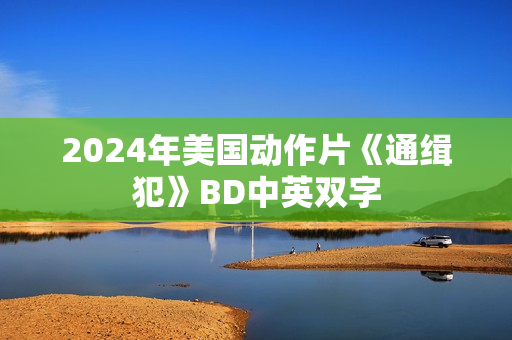 2024年美国动作片《通缉犯》BD中英双字