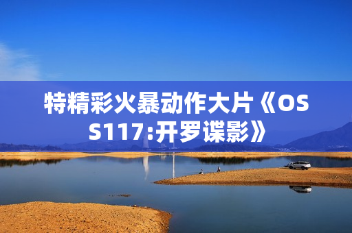 特精彩火暴动作大片《OSS117:开罗谍影》