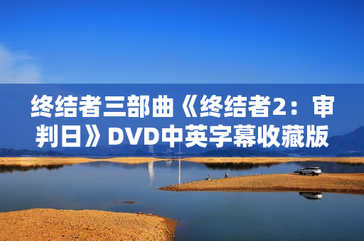 终结者三部曲《终结者2：审判日》DVD中英字幕收藏版