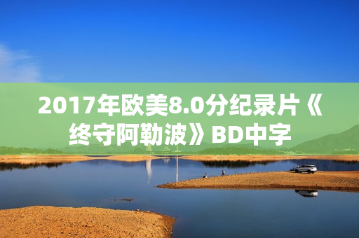 2017年欧美8.0分纪录片《终守阿勒波》BD中字