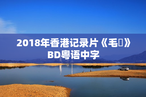 2018年香港记录片《毛俠》BD粤语中字