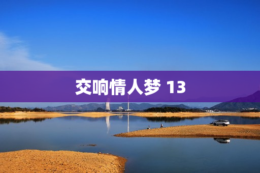 交响情人梦 13
