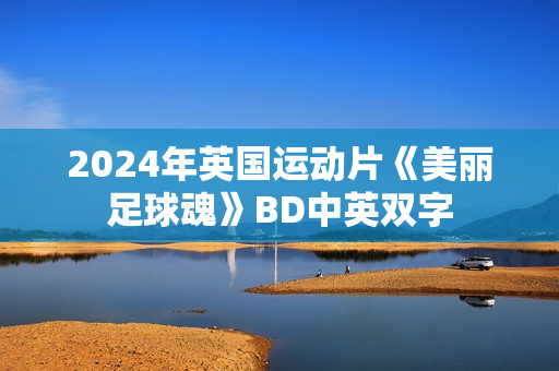 2024年英国运动片《美丽足球魂》BD中英双字