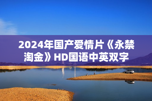 2024年国产爱情片《永禁淘金》HD国语中英双字