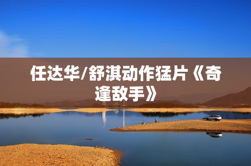 任达华/舒淇动作猛片《奇逢敌手》