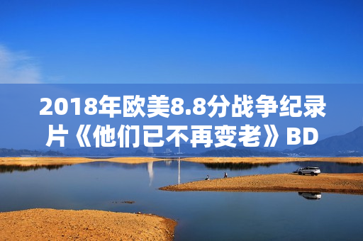 2018年欧美8.8分战争纪录片《他们已不再变老》BD中字