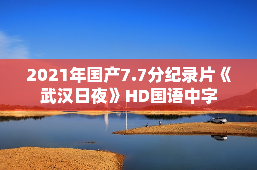 2021年国产7.7分纪录片《武汉日夜》HD国语中字