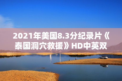 2021年美国8.3分纪录片《泰国洞穴救援》HD中英双字