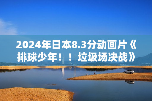 2024年日本8.3分动画片《排球少年！！垃圾场决战》BD日语中字