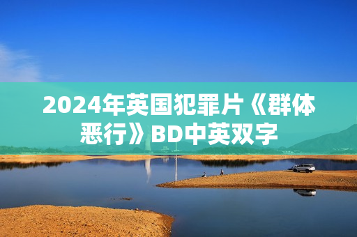 2024年英国犯罪片《群体恶行》BD中英双字