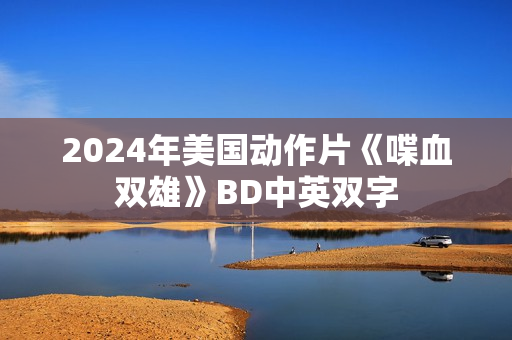 2024年美国动作片《喋血双雄》BD中英双字