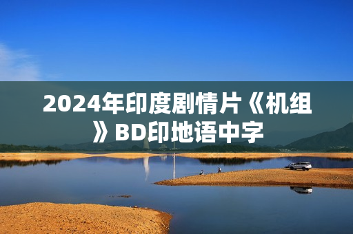 2024年印度剧情片《机组》BD印地语中字