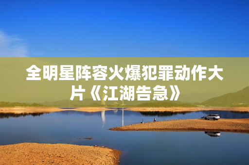 全明星阵容火爆犯罪动作大片《江湖告急》
